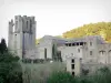 Lagrasse - Abbaye Sainte-Marie d'Orbieu et sa tour-clocher