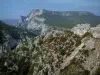 Parc Naturel Régional du Verdon - Garrigue et parois rocheuses (falaises calcaires)