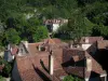 Saint-Cirq-Lapopie - Toits des maisons du village et arbres, dans la vallée du Lot, en Quercy