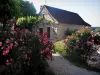 Saint-Cirq-Lapopie - Arbustes en fleurs et maison du village, dans la vallée du Lot, en Quercy