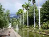 Saint-Denis - Jardin de l'État avec ses bassins, ses palmiers et ses arbres exotiques
