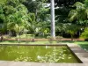 Saint-Denis - Bassin, palmiers et arbres exotiques du jardin de l'État
