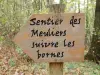 La Barre Area de Bosques Naturales - Travesías y excursiones en La Ferté-sous-Jouarre