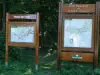 Der Pfad der bewaldeten Hochebene - Wanderungen & Spaziergänge in Orival