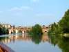 The bridges of Albi by boat