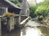 Athis-Val de Rouvre - Tourism, holidays & weekends guide in the Orne