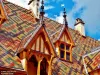 Roofing polychrome Hospices (© Jean Espirat)
