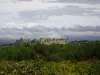 The city seen from the vines