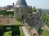 Carcassonne (© Frantz)