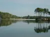 Lac de Clarens