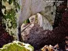 Arche rocheuse au lieu-dit Viaton (© Jean Espirat)
