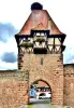 Torre das Bruxas, vista do jardim medieval (© J.E)