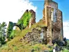 Ruines de l'ancienne église Saint-Pons (© J.E)