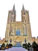 Facade of Notre-Dame cathedral (© Jean Espirat)