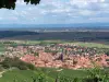 Dambach-la-Ville - Tourism, holidays & weekends guide in the Bas-Rhin