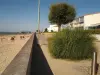 Promenade Grande plage de Fromentine