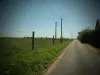 Bosc-Bénard-Commin - A ride in countryside