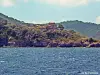 Île de Port-Cros vue du bateau (© J.E)