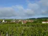 La Celle-sous-Chantemerle - Tourism, holidays & weekends guide in the Marne