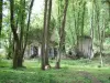 Sensitive Natural Area Bois de la Bergette