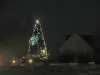 Christmas Tree La Groutte