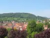 Lembach - Guide tourisme, vacances & week-end dans le Bas-Rhin