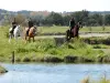 Olonne-sur-Mer - Balade à cheval dans les marais