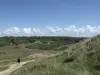 Olonne-sur-Mer - Balade dans les dunes