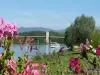 Montmerle-sur-Saône - Tourism, holidays & weekends guide in the Ain