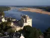 Castle of Montsoreau