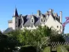 Castle of Montsoreau, castles of the Loire