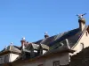 Cigognes sur les toits de Munster (© S. Wernain)