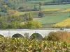 Viti degli Hautes Côtes de Beaune