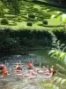 Flamingos of Parc Floral de la Source (© J. Danet)
