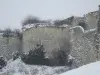 Muraille du château