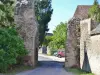 Le rovine del castello e la porta 12 ° secolo