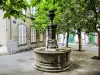Fontaine du dauphin, place Malouet (© J.E)