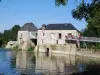 Rives-du-Loir-en-Anjou - Tourism, holidays & weekends guide in the Maine-et-Loire