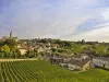 The medieval city in the heart of the vineyard
