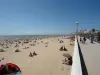 La plage et l'esplanade de la mer