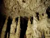Grottes de Lastournelles - Lieu de loisirs à Sainte-Colombe-de-Villeneuve