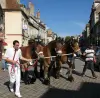Horse competition of Auxois traits