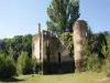 Ruines du château de Grandval