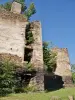Ruines du château de Grandval