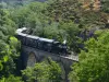 Tren de Ardèche