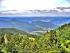 Vagney - Tourism, holidays & weekends guide in the Vosges