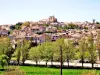 Panorama from the Riez road (© J.E)