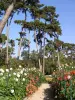 Floral Park