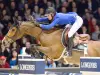 The Bordeaux International Show Jumping Contest - Event in Bordeaux