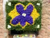 La Fête des Violettes - Évènement à Tourrettes-sur-Loup